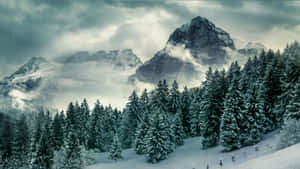 白雪覆蓋的山脈和松樹，天空多雲 — 雪山 壁紙
