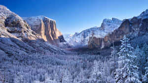 白雪覆蓋的山脈和森林，在清澈的藍天下 — 冬季風景 壁紙
