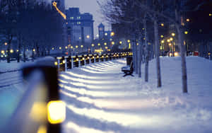 被溫暖街燈照亮的積雪城市公園小徑，黃昏時分，有光禿禿的樹木和長椅。 — 冬季 壁紙