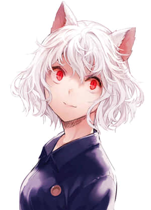 尼飛彼多 [桌布]