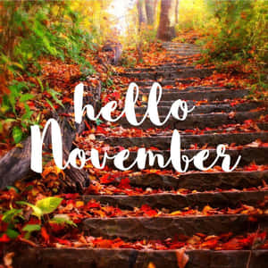 石階上鋪滿秋葉，森林中帶有「hello November」文字。 — 十一月 壁紙