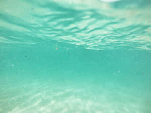 碧綠海洋水，帶有漣漪表面和水底漂浮粒子。 — 淺綠色系 壁紙