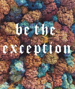 色彩繽紛的秋樹航拍照片，文字 be the exception — 樹木 壁紙