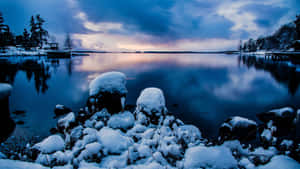 暮色中冰凍湖面上的積雪岩石與森林倒影。 — 寒冷 壁紙