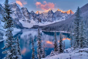 積雪的山峰和松樹倒映在日落時寧靜的藍色湖泊中。 — 酷寒冬季 壁紙