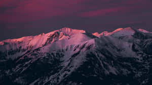 白雪皚皚的山脈沐浴在粉紅色的暮光中 — 山景 壁紙