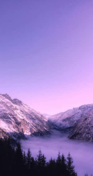積雪的山頂在暮色中從霧氣籠罩的山谷上升起。 — 冬季風景 壁紙
