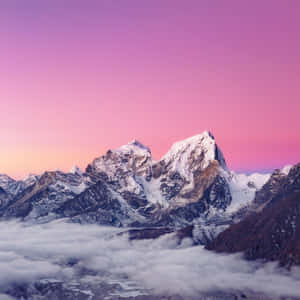 在粉紅色黎明天空下，積雪的山脈聳立於雲層之上 — iPad Air 壁紙