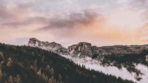在粉紅色和橙色暮雲下，積雪的山脈和下方的森林。 — 山脈 壁紙