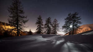 夜晚積雪的山脊，松樹和星空。 — 高畫質月亮 壁紙