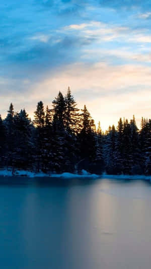 結冰的湖面與積雪的松樹在暮色中 — 冬季風景 壁紙