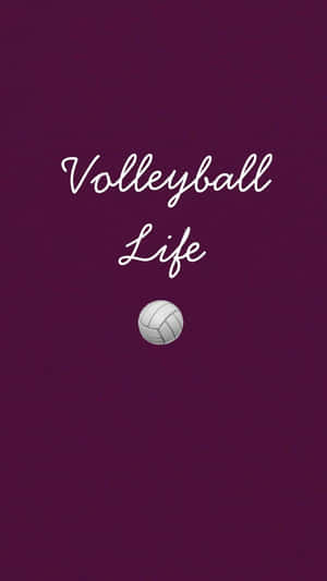 紫色背景上的排球圖標和「Volleyball Life」文字。 — 排球 壁紙