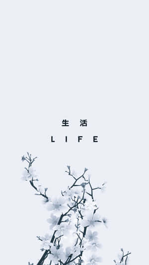 帶有中文字和 life 單詞的花枝，採用簡約灰白設計。 — 簡約 壁紙