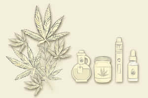米色背景上以奶油色調繪製的大麻葉及相關產品。 — 植物美學 壁紙