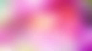 柔和漸變背景，混合粉紅、紫色和黃色色調。 — 粉紅色 壁紙