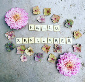 粉紅大麗花和繡球花瓣圍繞著在混凝土上拼寫hello september的Scrabble字母磚。 — 九月 壁紙