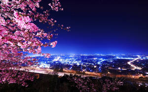 粉紅櫻花俯瞰夜晚閃爍的城市。 — 夜晚 壁紙