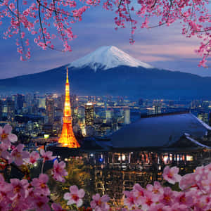 粉紅櫻花框住黃昏的東京鐵塔和富士山。 — 東京 壁紙
