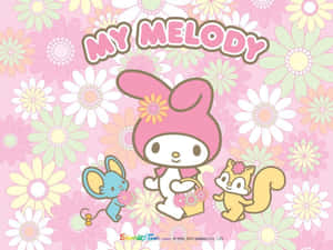 My Melody兔子與老鼠和松鼠在花卉背景上手持鮮花 — 我的旋律 壁紙