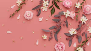 在珊瑚色背景上以粉紅色和白色花朵組成的花卉佈置。 — 5120x2880 壁紙