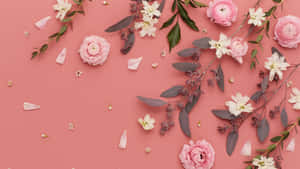 粉紅色和白色的花朵與綠色植物排列在珊瑚色背景上。 — 5120x2880 壁紙