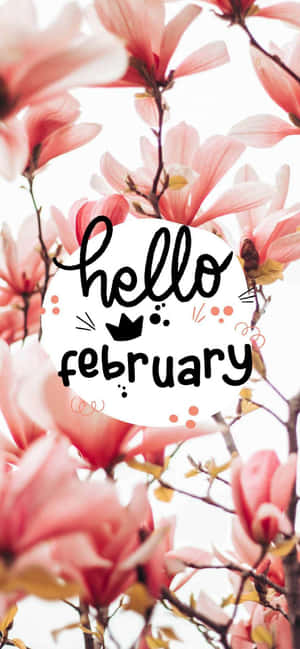 粉紅色木蘭花與白色圓圈內的 hello february 文字。 — Galaxy A08 壁紙