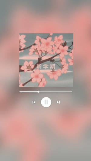 動漫風格的櫻花在樹枝上盛開，背景是藍天。 — 美學音樂 壁紙