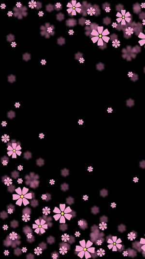 粉紅色的櫻花在黑色背景上飄浮。 — 粉色花朵 壁紙