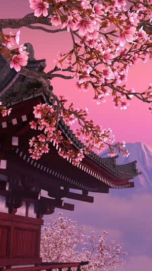 粉紅色的櫻花在日本寺廟上空盛開，背景是雪山。 — 庫洛魔法使 壁紙