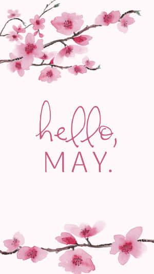 粉紅色的櫻花枝條以柔和的水彩風格框住hello may文字。 — 五月 壁紙