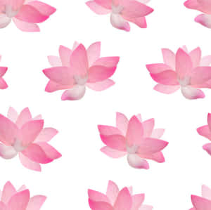 白色背景上重複的水彩圖案中的粉紅色蓮花。 — 蓮花 GIF 壁紙
