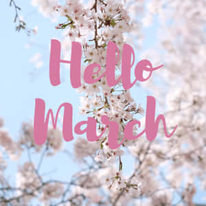 粉紅色「Hello March」文字在櫻花枝上，背景是藍天。 — 三月 壁紙