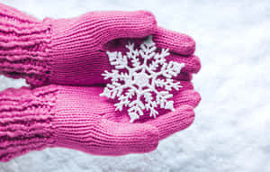 粉紅色針織手套在雪地上捧著一朵白色雪花。 — 可愛貓咪 壁紙