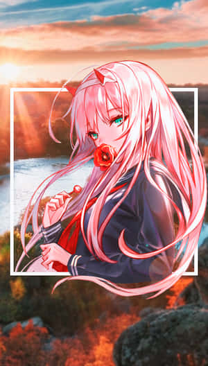 粉紅色頭髮的動漫女孩，在水面夕陽中手持紅花。 — 零二 GIF 壁紙