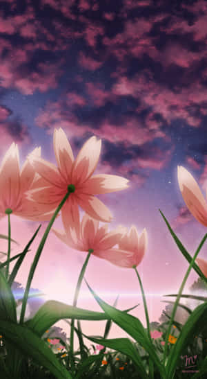 粉紅花朵在星空暮色下搖曳，伴隨洋紅色雲彩。 — 唯美花卉 壁紙
