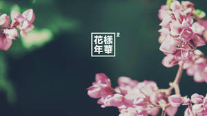 在模糊的綠色背景上，粉紅花枝與方形框內的日文文字。 — 粉色花朵 壁紙