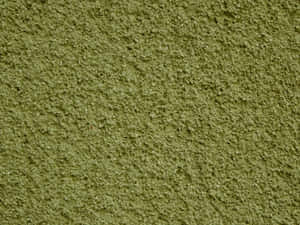 橄欖綠色紋理牆面的特寫。 — 綠色 壁紙