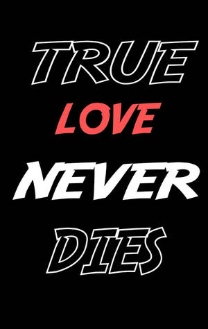 黑色背景上白色和紅色的True love never dies文字圖形 — 愛情藝術 壁紙
