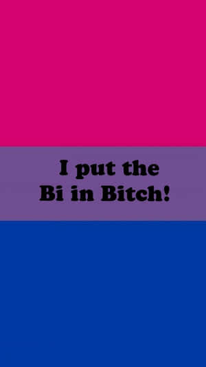 雙性戀驕傲旗，粗體文字寫著 I put the Bi in Bitch! — 雙性戀旗幟 壁紙