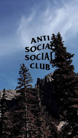 粗體黑色文字寫著 anti social social club 在松樹和山脈上方。 — 社群 壁紙