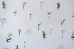 稀疏的花卉佈置貼在白色牆壁上，帶有柔和粉彩調。 — 花朵 壁紙