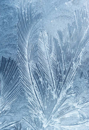 藍白調玻璃上的霜花圖案 — 雪景 GIF 壁紙
