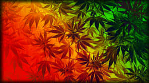 彩虹漸變圖案的大麻葉。 — 420 壁紙