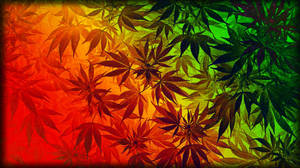 大麻葉剪影在彩虹漸變背景上。 — 植物美學 壁紙