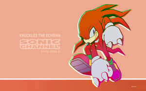 來自Sonic Channel的納克魯斯以風格化的動漫姿勢呈現。 — 音速小子 壁紙