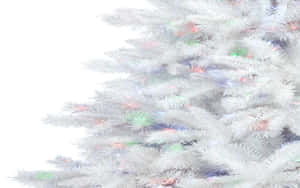 白色植絨聖誕樹，彩色燈光柔和發光。 — 雪 壁紙
