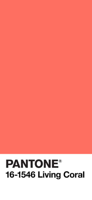 帶黑色文字的Pantone Living Coral色票。 — iPhone 15 壁紙