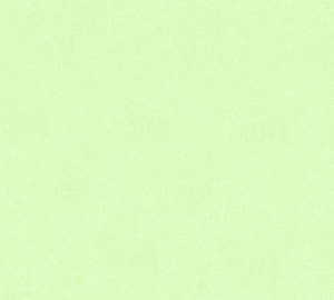 純色淡綠色紋理壁紙，帶有細微的織物編織。 — 淺綠色系 壁紙