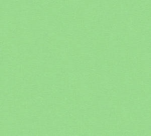 純色薄荷綠紋理壁紙，帶有細膩的織物編織。 — 淺綠色系 壁紙