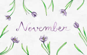紫色番紅花和綠色莖幹以優雅草書框住「November」一詞。 — 十一月 壁紙